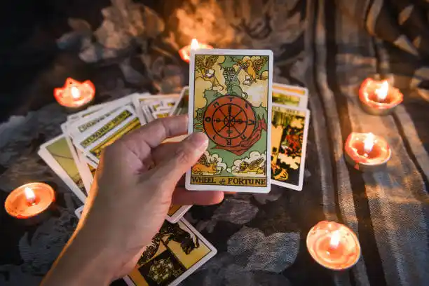 tarot cards Lansing